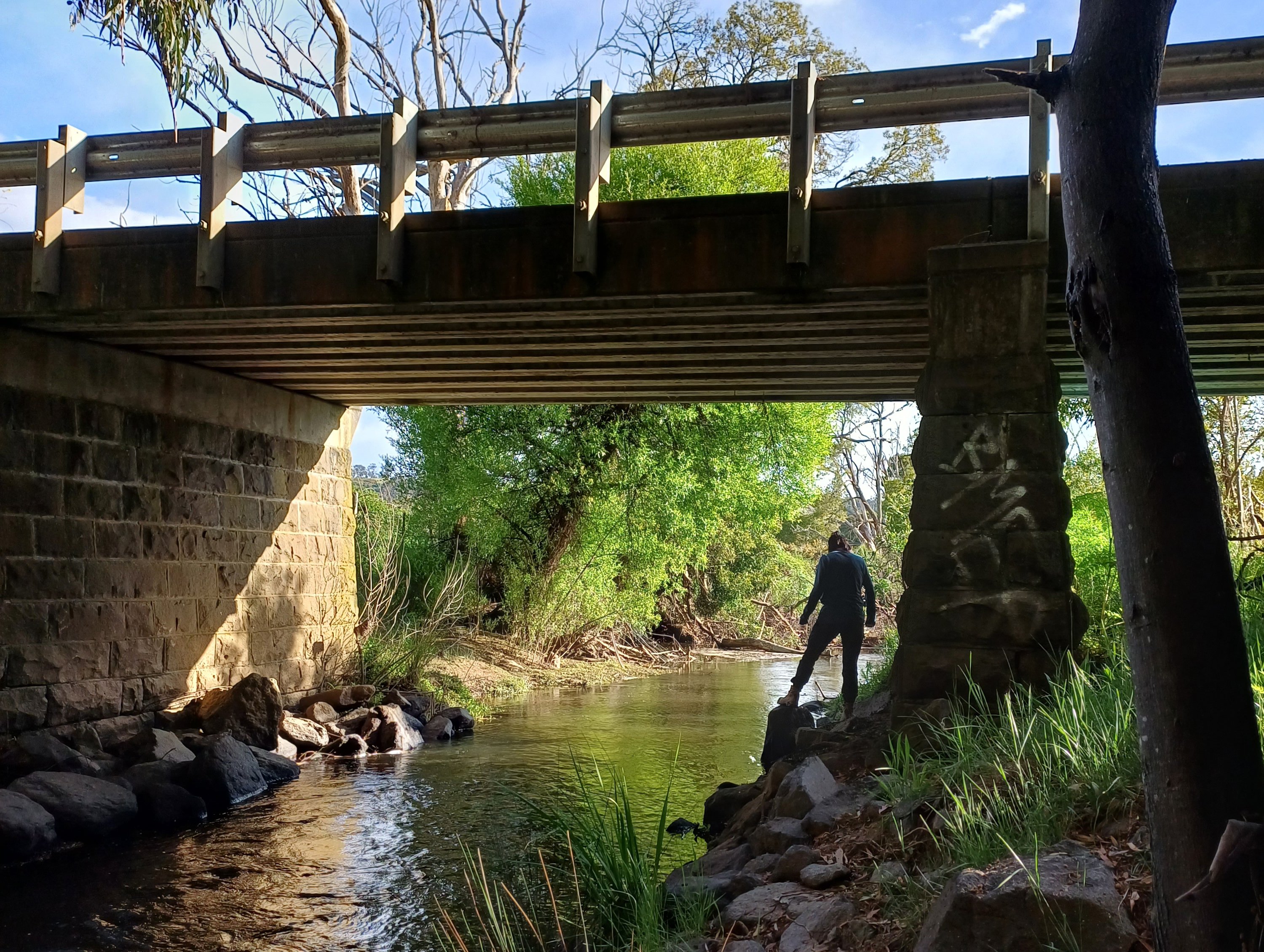 North Central Citizen Science Projects | North Central Catchment ...