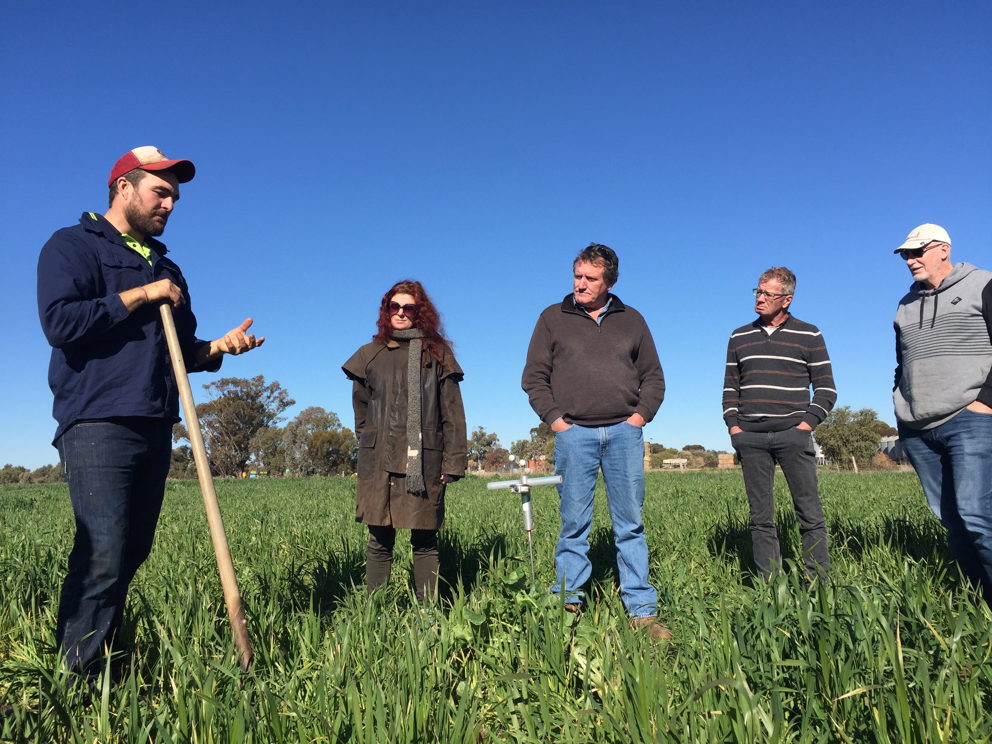 group of farmers standing in a paddock, the one talking is leaning on a shovel
