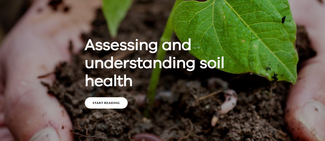 screenshot of soiuld health website with two hands holding soil and a plant