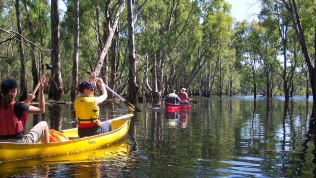 Play your part in Gunbower Island’s future | North Central Catchment ...